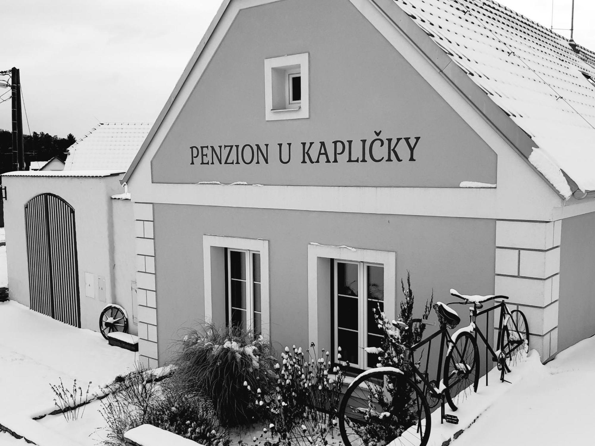 Penzion U Kaplicky ズノイモ エクステリア 写真